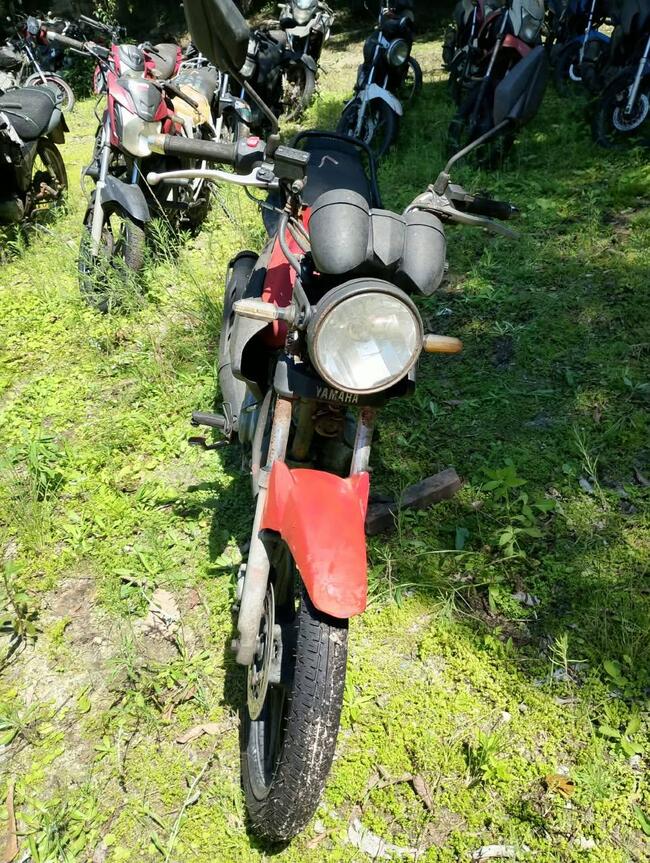 Foto Site