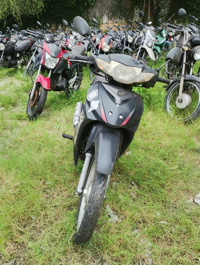 Foto Site