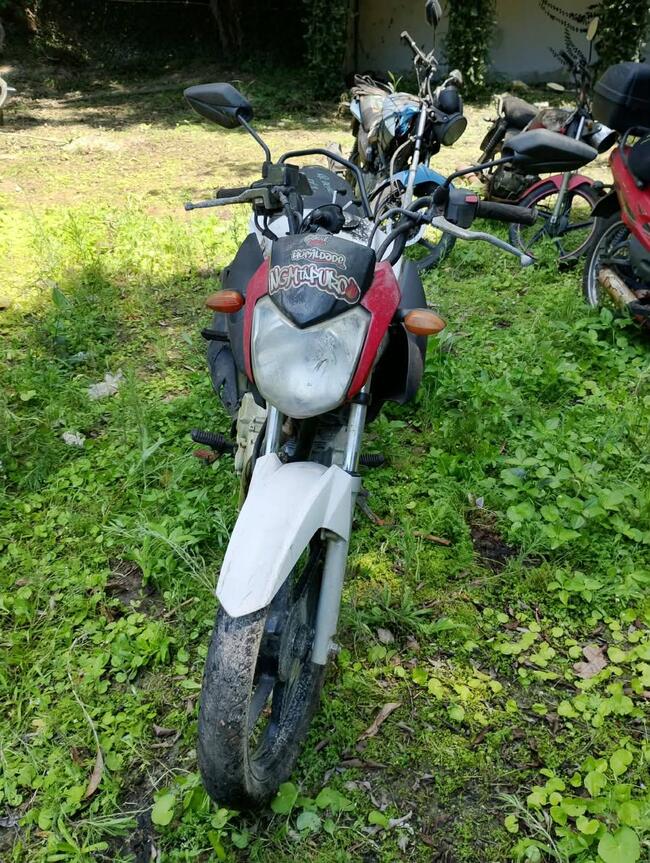 Foto Site