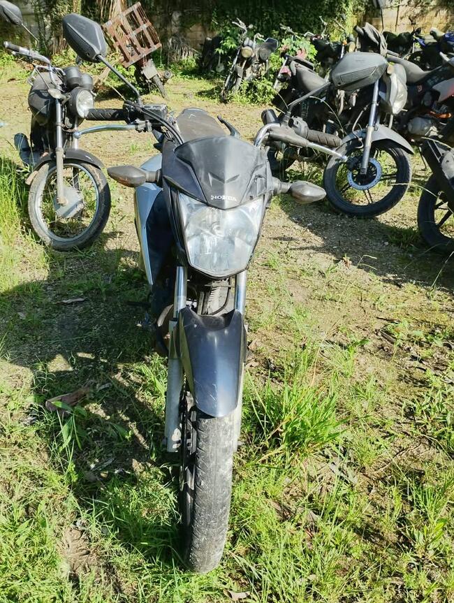 Foto Site