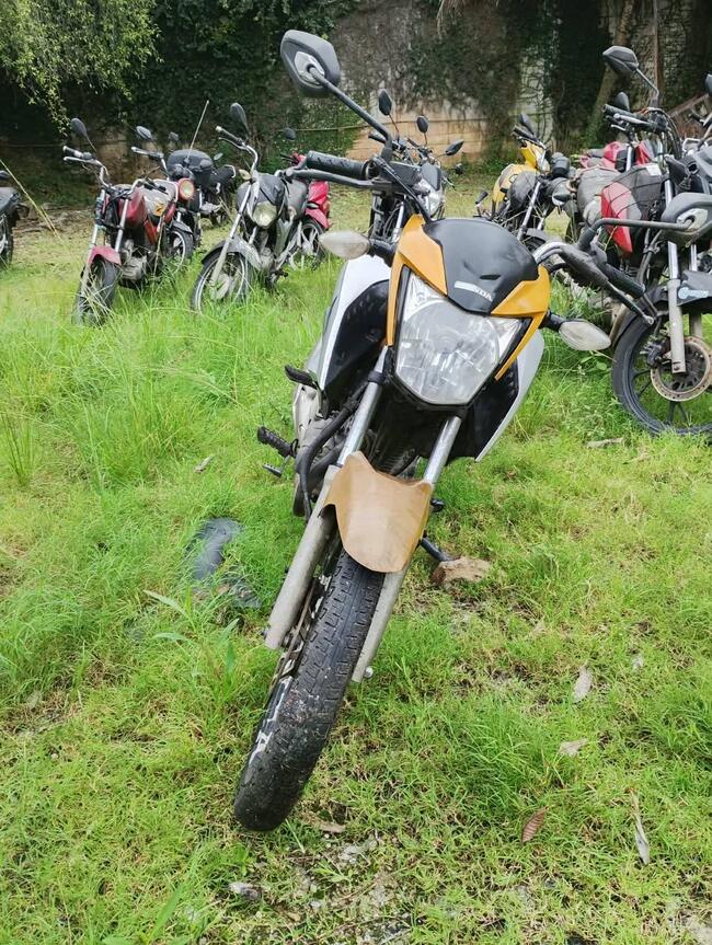 Foto Site