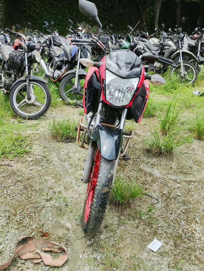 Foto Site