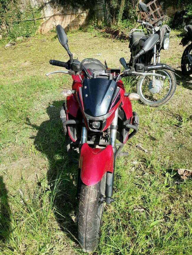 Foto Site