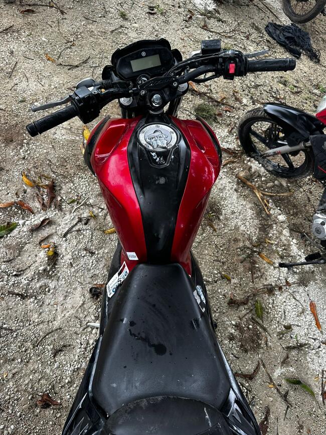 Foto Site