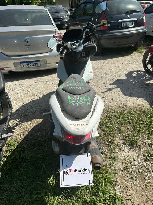 Foto Site
