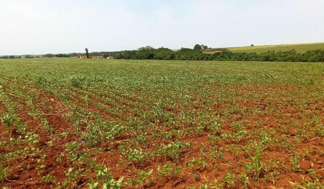 Fazenda (área Rural) Em Palmital/sp - Ribeirão Do Sul, localizado em Ribeirão Do Sul - SP