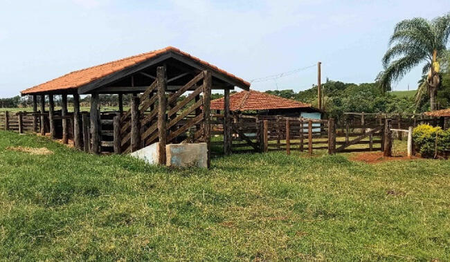 Fazenda (área Rural) Em Palmital/sp - Ribeirão Do Sul, localizado em Ribeirão Do Sul - SP