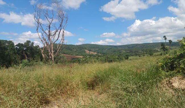 Fazenda Em Itararé/sp - Itopava, localizado em Itararé - SP