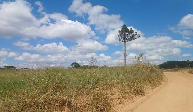 Fazenda Em Itararé/sp - Itopava, localizado em Itararé - SP
