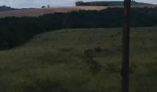 Fazenda Em Itararé/sp - Itopava, localizado em Itararé - SP