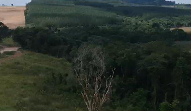 Fazenda Em Itararé/sp - Itopava, localizado em Itararé - SP
