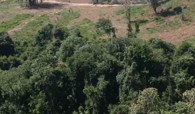 Fazenda Em Itararé/sp - Itopava, localizado em Itararé - SP
