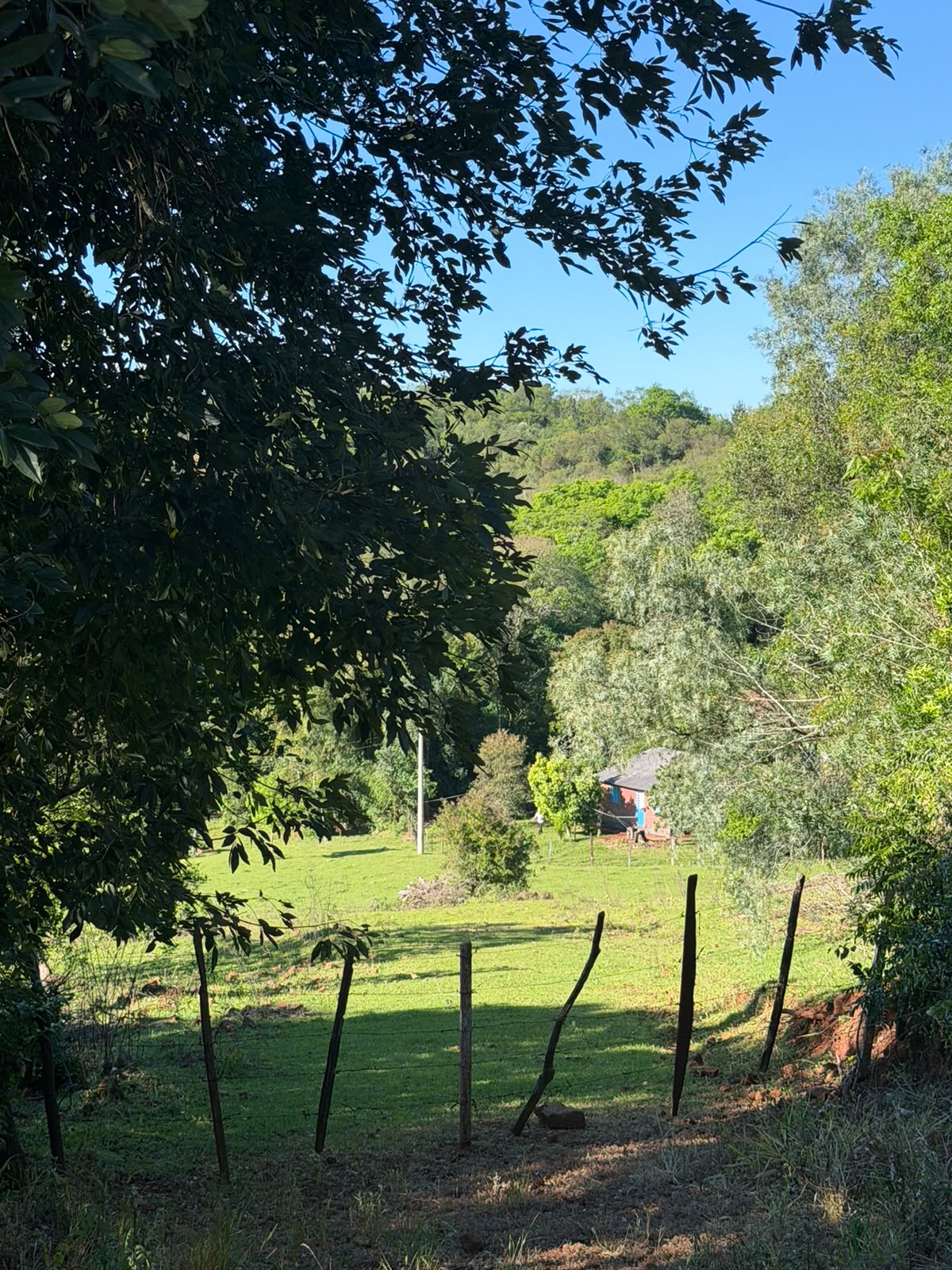 Fração ideal de 02 hectares, dentro de área maior de terras de cultura e matos, com área de 13has30as, situado no distrito afonso rodrigues,