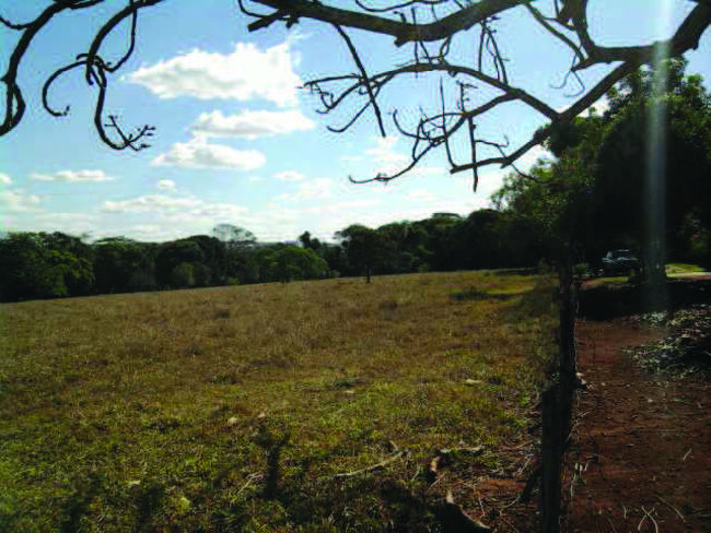 17) Chácara Nº 15, Situada Na Rua 03, Quadra 07, No Loteamento Chácaras Califórnia, Com 4.669,40m² Em Goiânia-go, localizado em Goiânia - GO