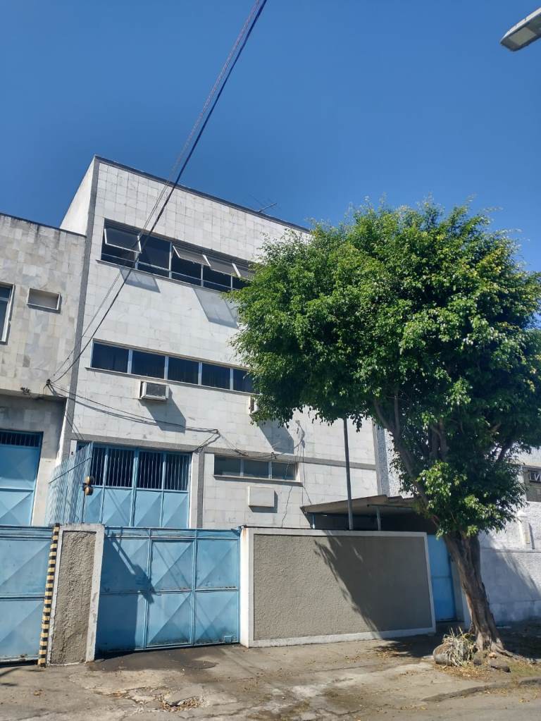 Capa do leilão ID 113