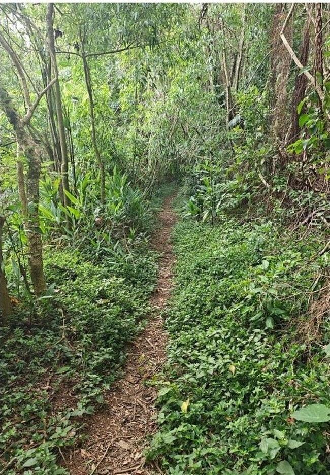 TERRENO SEM BENFEITORIAS EM NOVA FRIBURGO - RJ (LEILÃO CAEX 40)