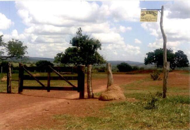 FAZENDA ALBATROZ COM 705,43 HECTARES