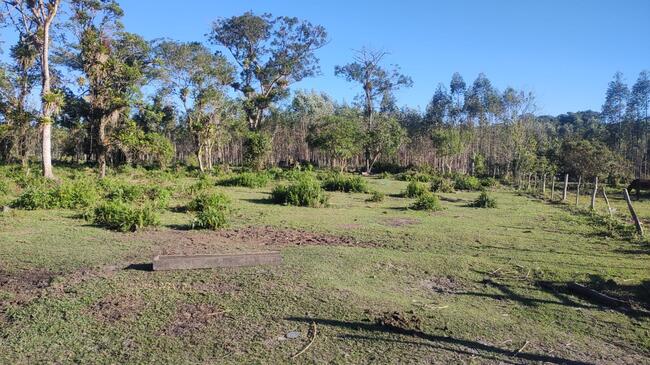 IMÓVEL URBANO TERRENO ÁREA 59.280M² NO MORRO GRANDE EM ARAQUARI/SC