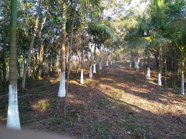 IMÓVEL RURAL AREA 285.000M² LOCALIDADE TRAVESSÃO NO MUNICÍPIO DE GRAVATAL/SC