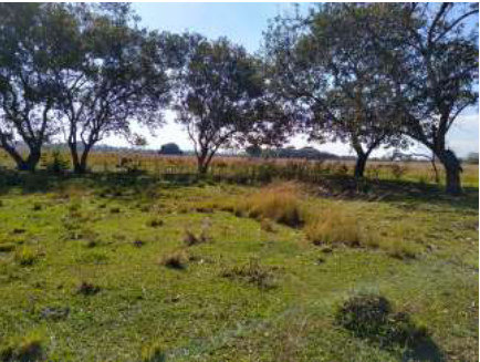 TERRENO URBANO NÃO EDIFICADO, SITUADO NO LOTEAMENTO PARQUE CHAPERÓ