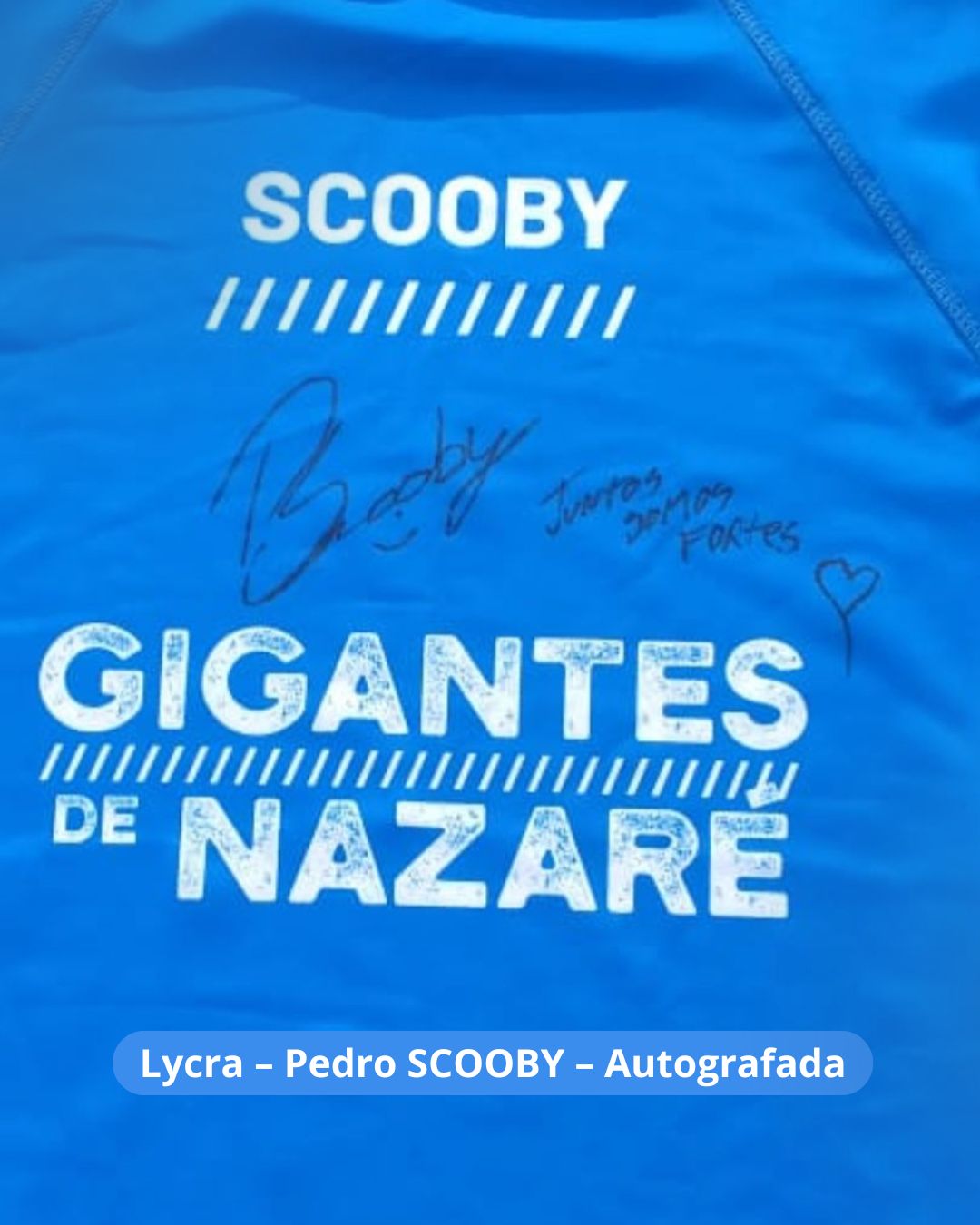 Capa do leilão ID 81