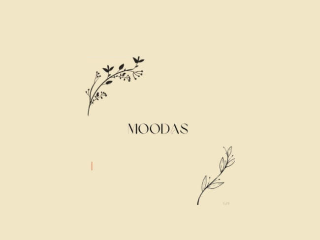 Leilão Loja Moodas - Boutique