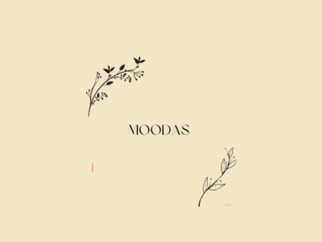 Leilão Loja Moodas - Boutique