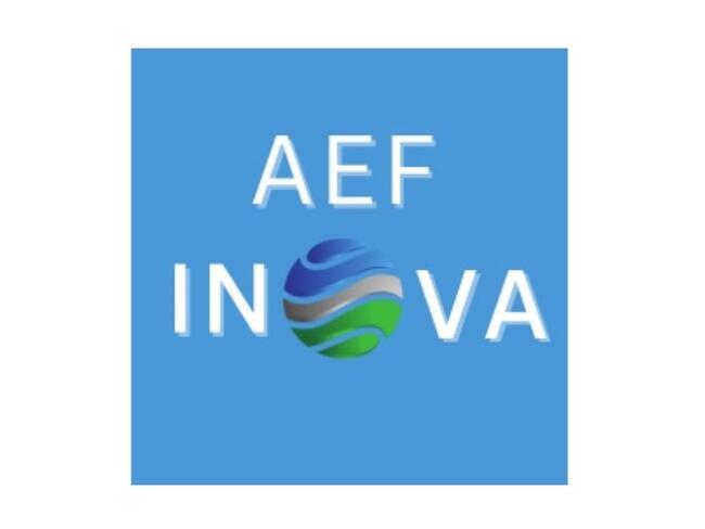 LEILÃO DISTRIBUIDORA AEF INOVA