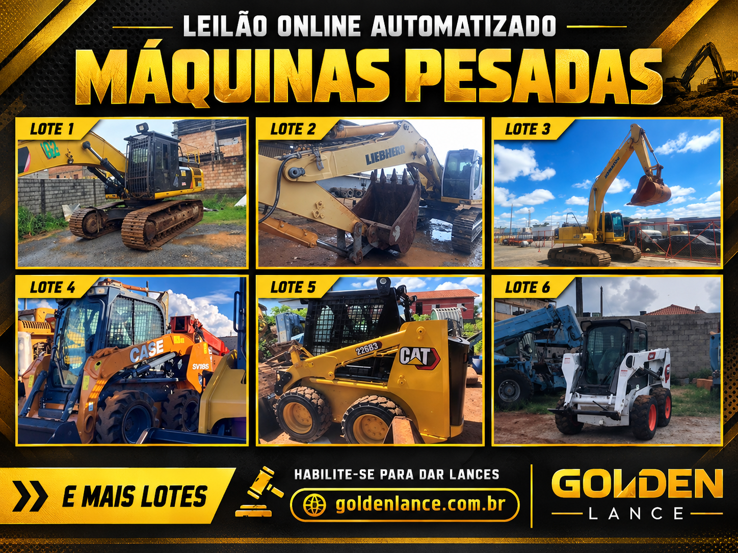 Capa do leilão ID 209