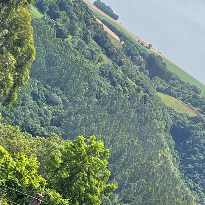 Imóvel rural