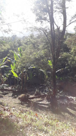LOTE 0001 — foto 3