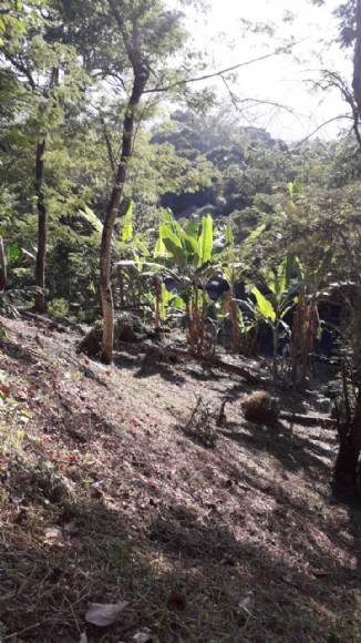 LOTE 0001 — foto 4