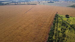 Foto de VENDA DIRETA DE ÁREA RURAL COM 30 HECTARES DENOMINADA CHÁCARA BOA VISTA NA MS-040 EM CAMPO GRANDE/MS
