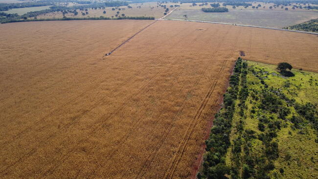 Venda Direta De Área Rural Com 30 Hectares Denominada Chácara Boa Vista Na Ms-040 Em Campo Grande/ms, localizado em Campo Grande - MS