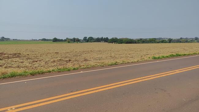 ÁREA RURAL COM 26 (VINTE E SEIS) HECTARES PROXIMA A CAARAPÓ/MS