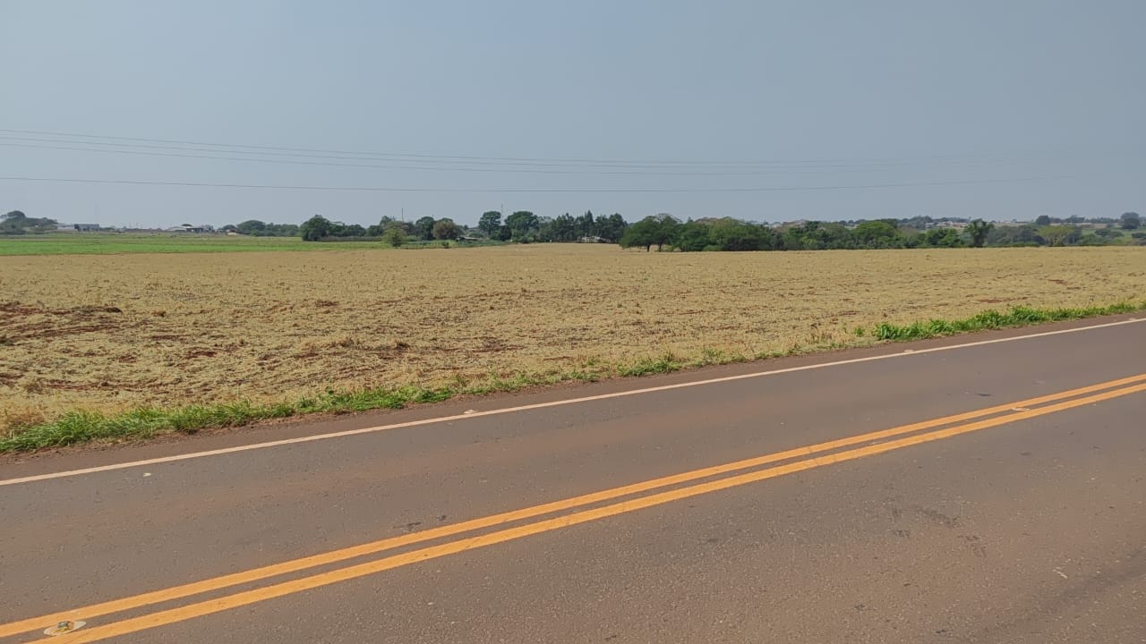 Capa do leilão ID 164