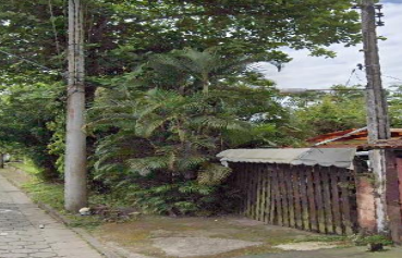 Capa do leilão ID 46