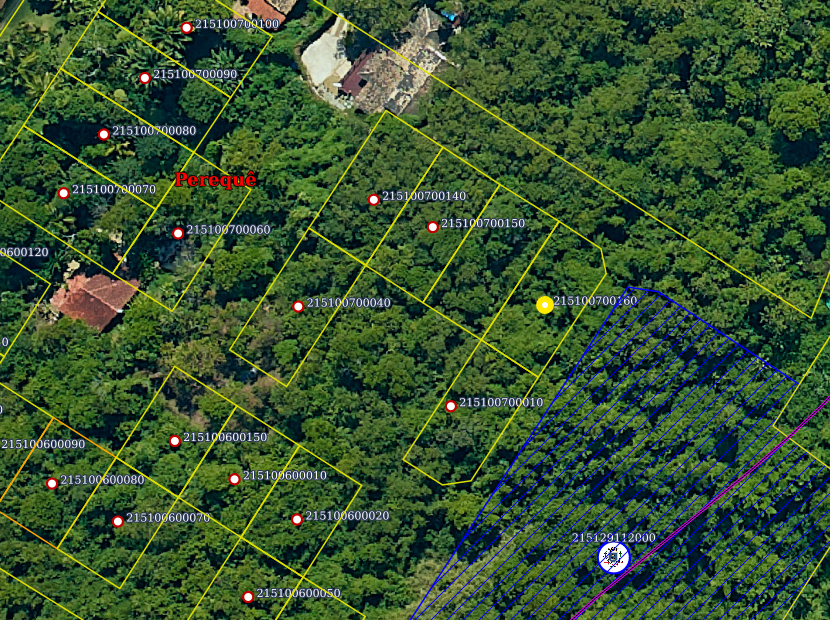 Capa do leilão ID 53