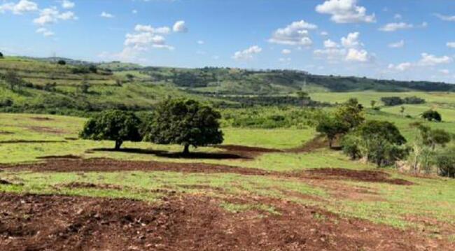 Imóvel C/ 05 Alq. Na Gleba Vitória Em Mandaguari/pr, localizado em Mandaguari - PR