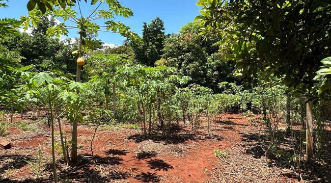 Imóvel C/ 1.105,35m² No Recanto Primavera Em Alvorada Do Sul/pr, localizado em Alvorada Do Sul - PR