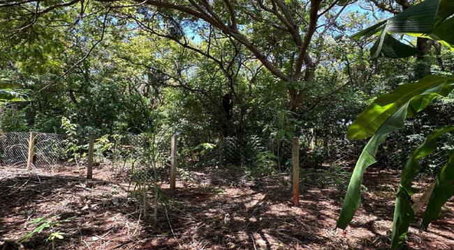 Imóvel C/ 1.105,35m² No Recanto Primavera Em Alvorada Do Sul/pr, localizado em Alvorada Do Sul - PR