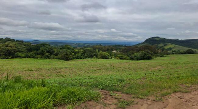 Imóvel C/ 189,92 Alq. Em Rio Branco Do Ivaí/pr, localizado em Rio Branco Do Ivaí - PR