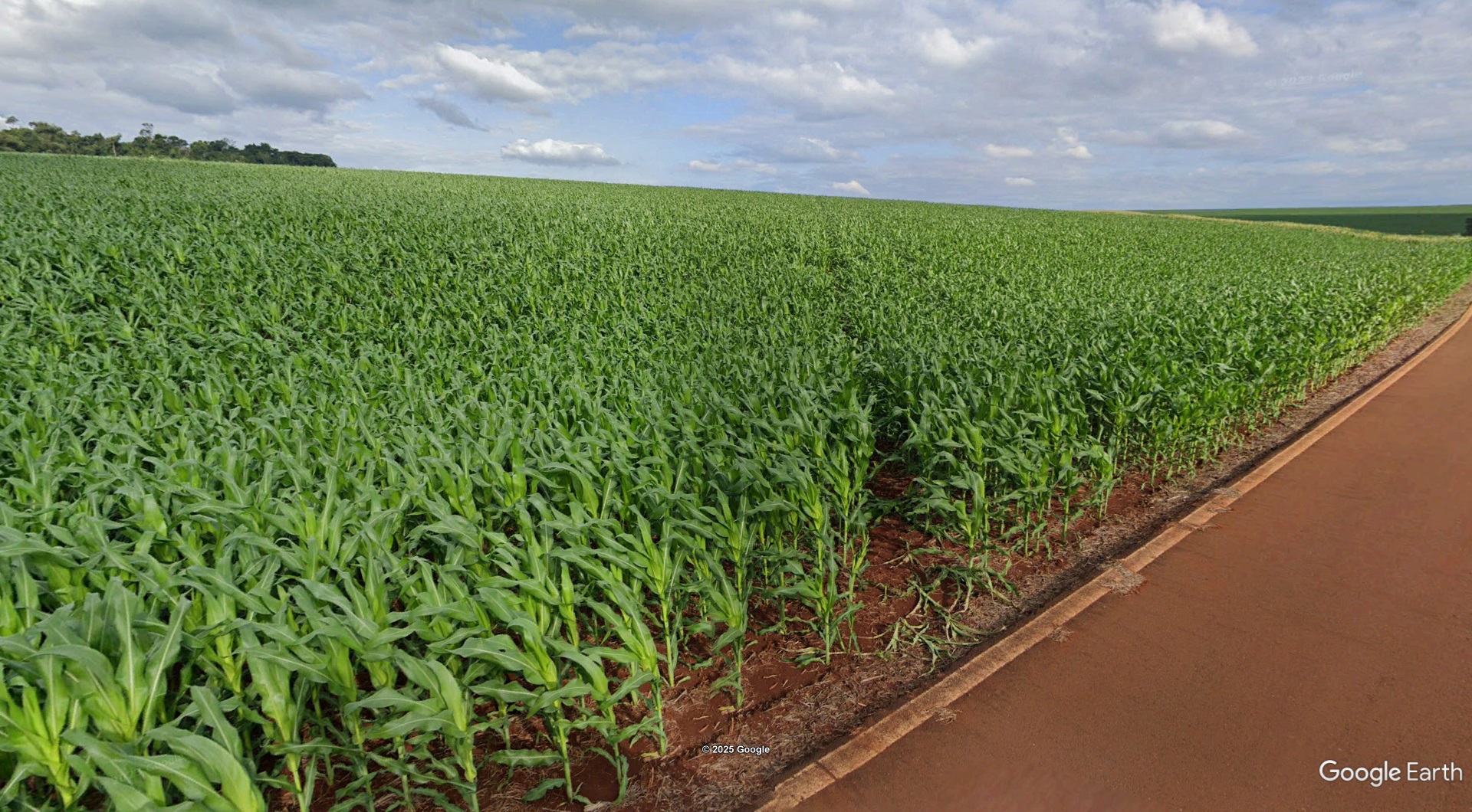Lote 2.1 - imóvel c/ 05 alq. em toledo/pr