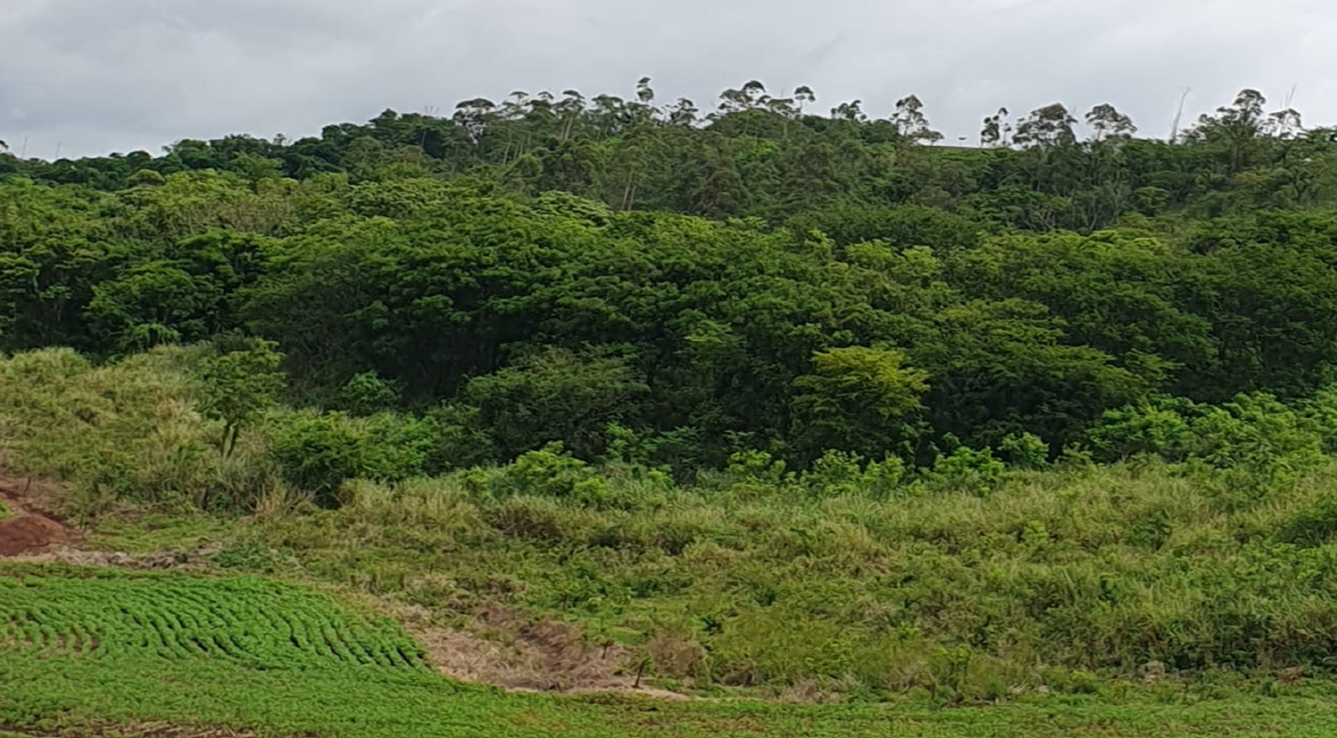 Lote 10.1 - imóvel c/ 03 alq. em abatiá/pr