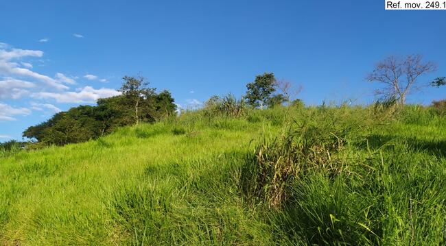 Parte Ideal De Um Imóvel C/ 03 Alq. Em Grandes Rios/pr, localizado em Grandes Rios - PR