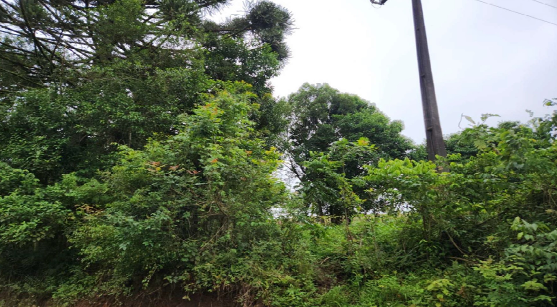 Lote 3.1 - imóvel c/ 3,07 alq. no distrito de socavão em castro/pr