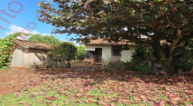 20% De Um Imóvel C/ 7,12 Alq. Em Sertanópolis/pr, localizado em Sertanópolis - PR