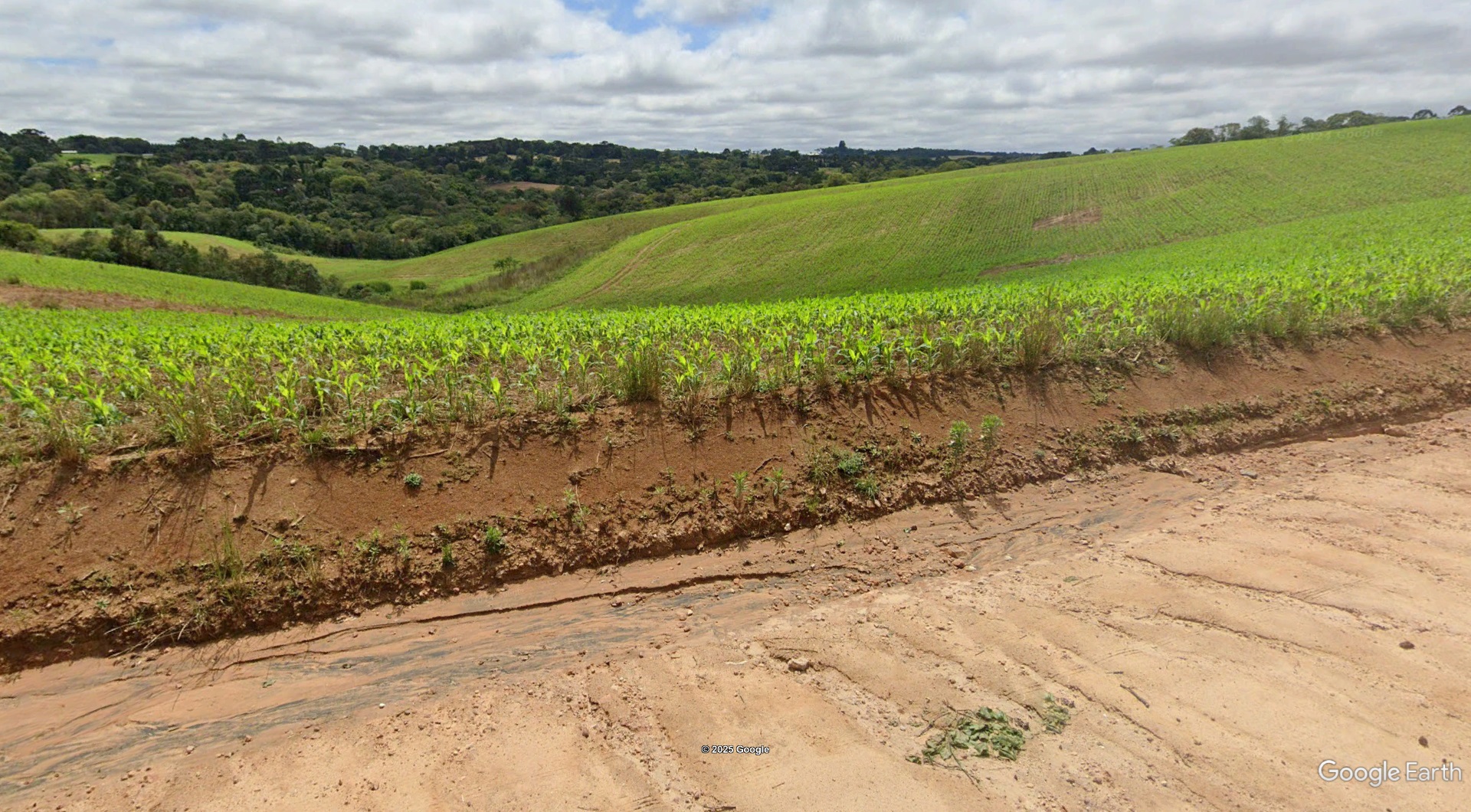 Lote 1.1 - 50% de um imóvel c/ 6,39 alq. em carambeí/pr