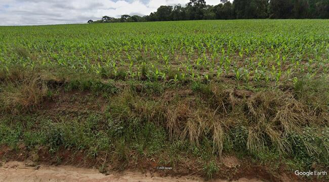 50% De Um Imóvel C/ 6,85 Alq. Em Carambeí/pr, localizado em Carambeí - PR