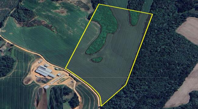 50% De Um Imóvel C/ 6,85 Alq. Em Carambeí/pr, localizado em Carambeí - PR